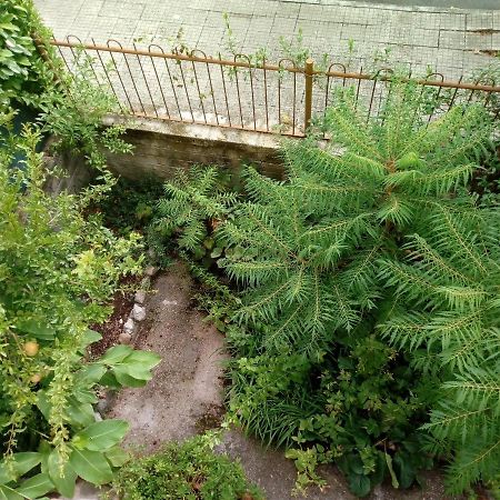 Il Cactus Acomodação com café da manhã San Giovanni Incarico Exterior foto