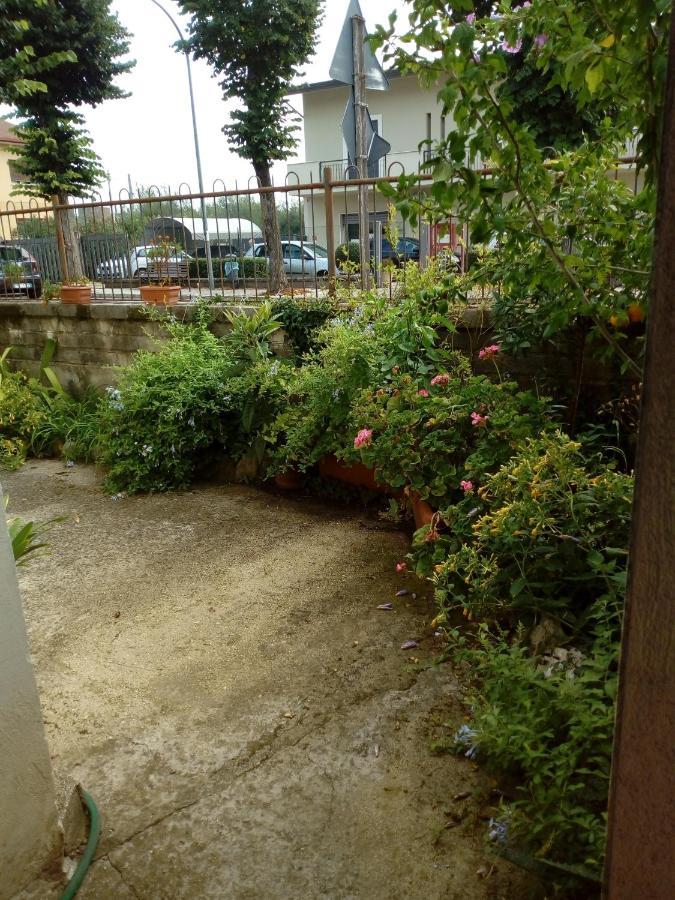 Il Cactus Acomodação com café da manhã San Giovanni Incarico Exterior foto