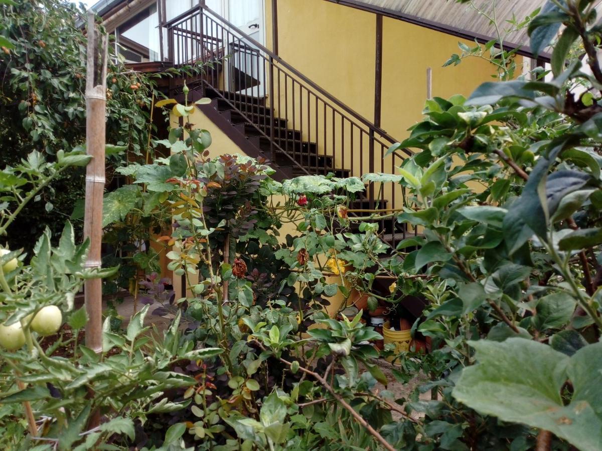 Il Cactus Acomodação com café da manhã San Giovanni Incarico Exterior foto