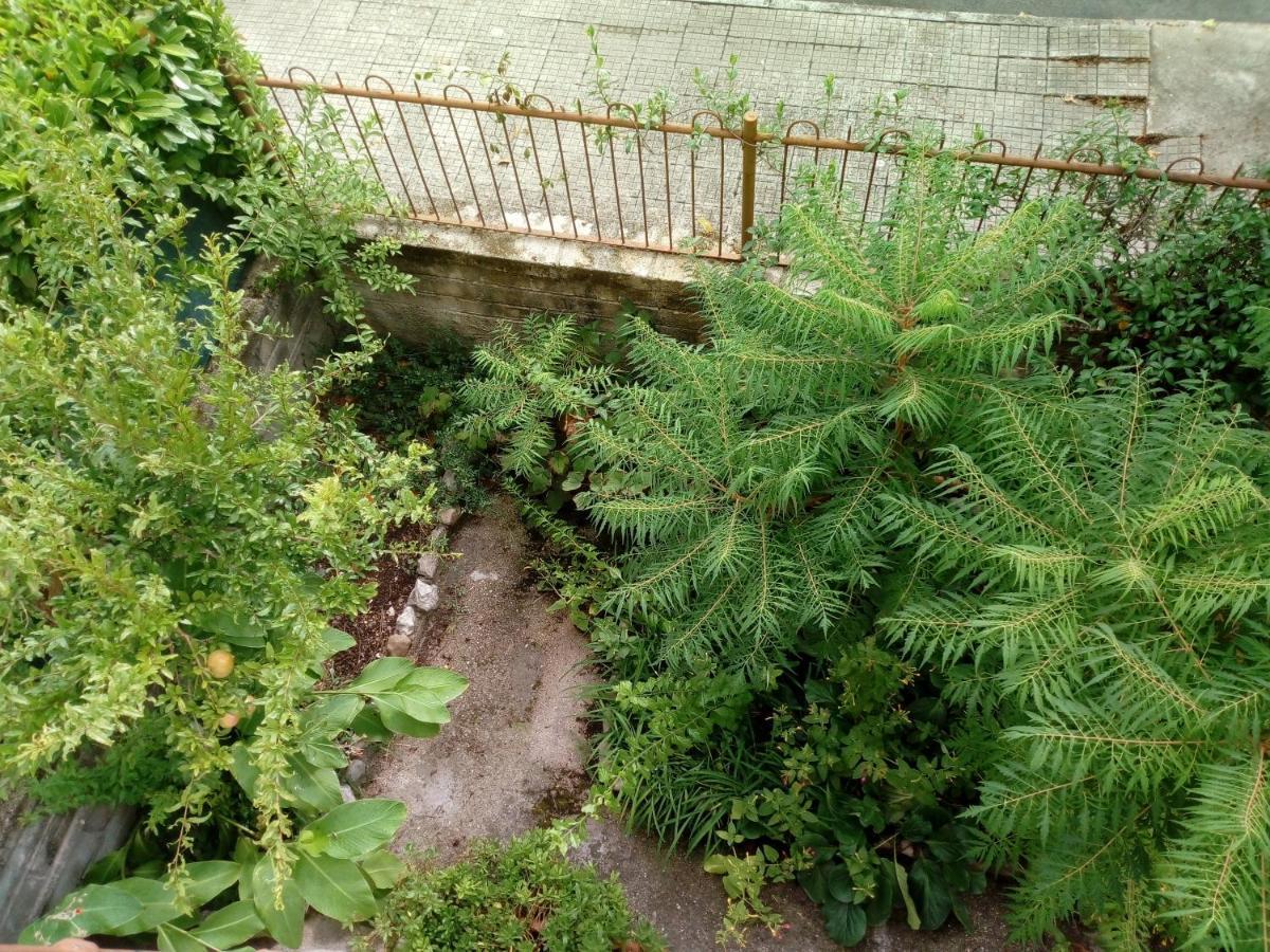 Il Cactus Acomodação com café da manhã San Giovanni Incarico Exterior foto